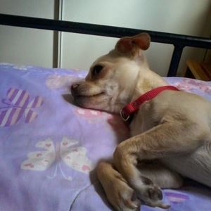 Meet your Posher, Jimenez